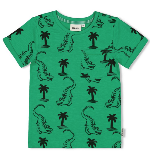 Sturdy- Jungen - T-Shirt grün  - Gone Surfing